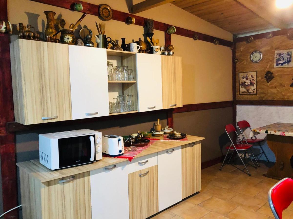 Hotel Casa Andrei Costineşti Exteriér fotografie