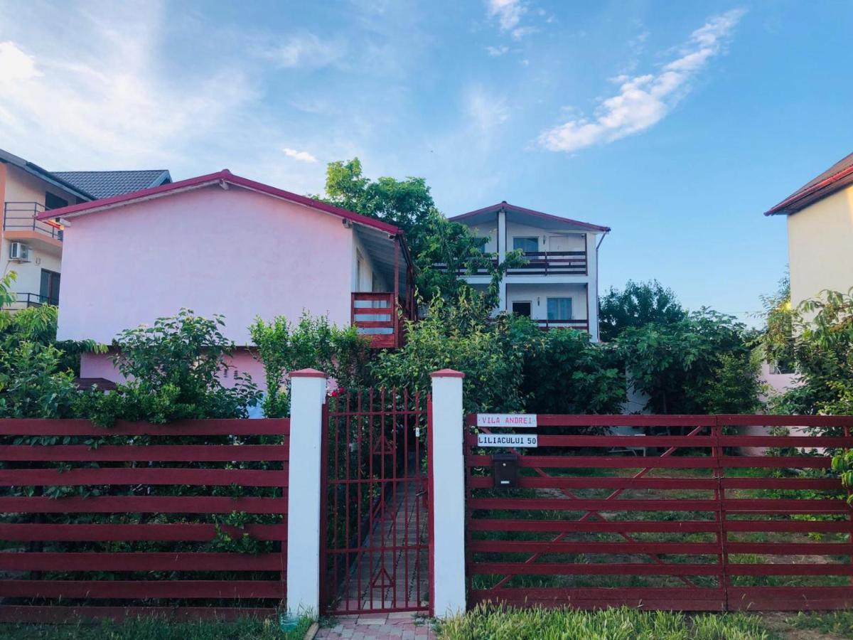 Hotel Casa Andrei Costineşti Exteriér fotografie