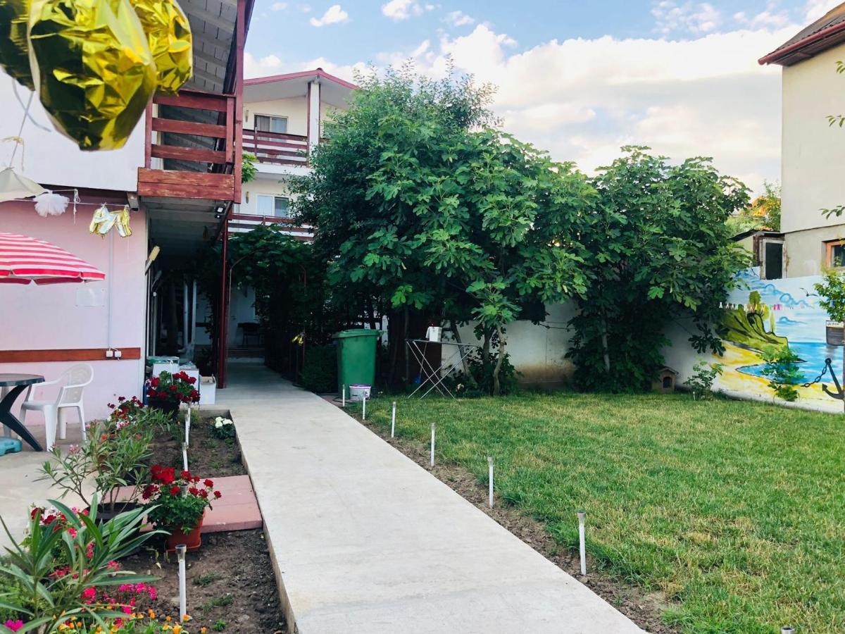 Hotel Casa Andrei Costineşti Exteriér fotografie