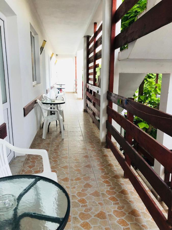 Hotel Casa Andrei Costineşti Exteriér fotografie