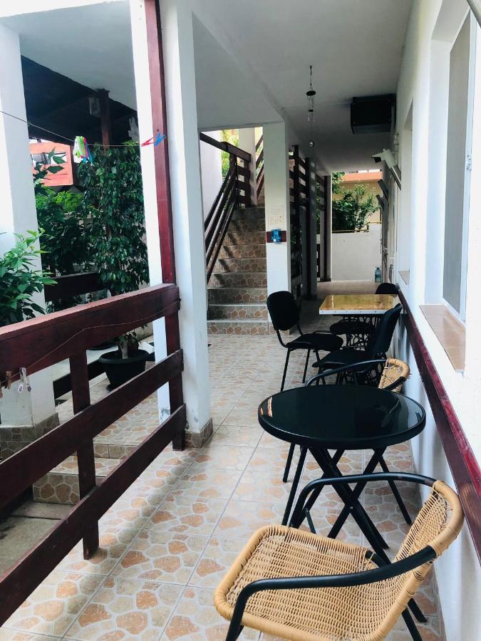 Hotel Casa Andrei Costineşti Exteriér fotografie