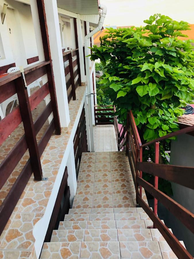 Hotel Casa Andrei Costineşti Exteriér fotografie