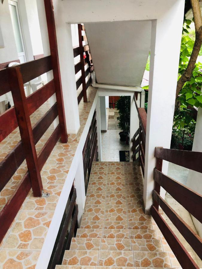 Hotel Casa Andrei Costineşti Exteriér fotografie