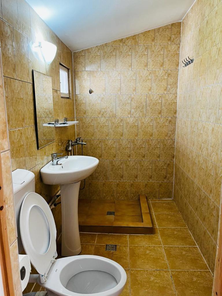 Hotel Casa Andrei Costineşti Exteriér fotografie