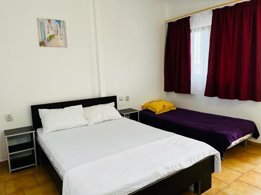 Hotel Casa Andrei Costineşti Exteriér fotografie