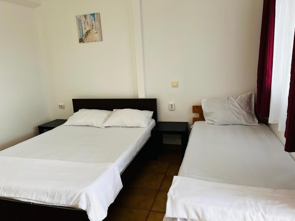 Hotel Casa Andrei Costineşti Exteriér fotografie